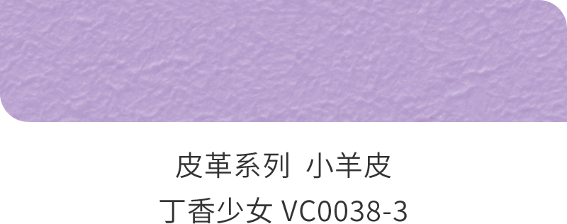 首页| 尊龙Z6(中国集团)官方网站